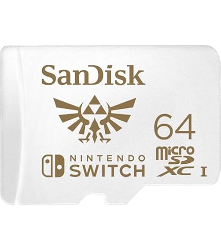 ま*ん様 Switch★本体★任天堂★64GB SDカード★アクセサリーキット ま*ん様 Switch☆本体☆任天堂☆64GB SDカード☆アクセサリーキット